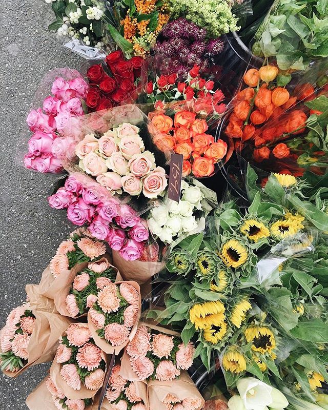 Looking through rose colored glasses🌹🌷🌸🌻 /// #brittanyinwanderland #humpday #lovefl