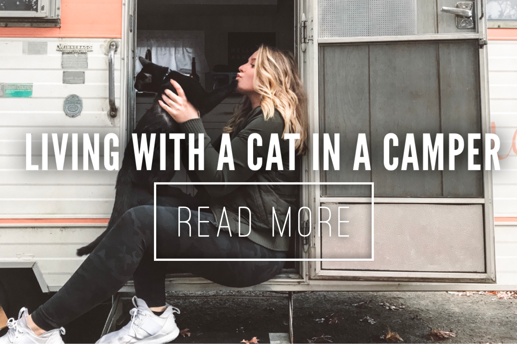 Living with a cat in a camper